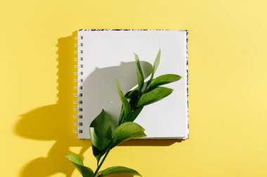 Beyaz, eski, boş bir defter, sarı arka planda yapraklar. Minimalist iş yeri konsepti. Kopyalama alanı olan üst görünüm. Yaz düzlüğü