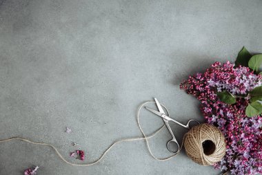 Bahar demeti demeti leylak, makas, beton arka planda sicim. Dekoratif kompozisyon. Bahçıvanlık. Metin için boş yeri olan bahar düzeni.