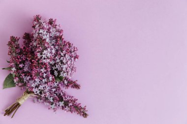 Modaya uygun pembe arka planda leylak çiçekli yaratıcı minimalist afiş. Web afişi. Üst görünüm, düz görünüm, kopyalama alanı