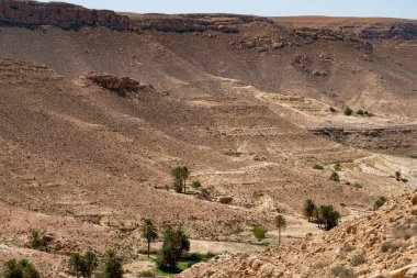 Chenini, Tunus 'un güneyindeki Tataouine bölgesinde yıkılmış bir Berberi köyüdür.