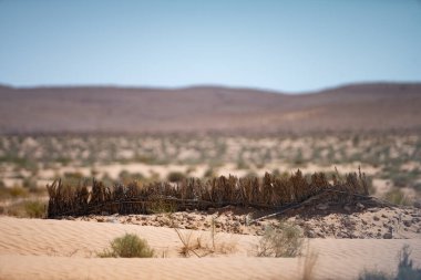 Chenini, Tunus 'un güneyindeki Tataouine bölgesinde yıkılmış bir Berberi köyüdür.