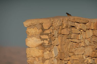 Chenini, Tunus 'un güneyindeki Tataouine bölgesinde yıkılmış bir Berberi köyüdür.