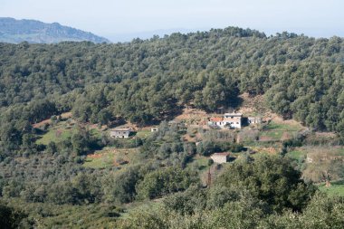 Kuzey Tunus 'a hoş geldiniz.