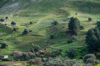 Kuzey Tunus 'a hoş geldiniz.