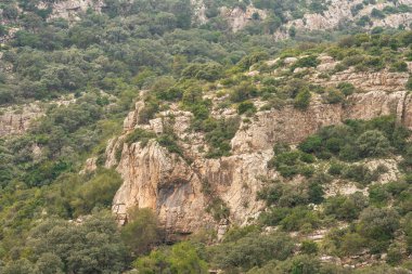 Kuzey Tunus 'a hoş geldiniz.