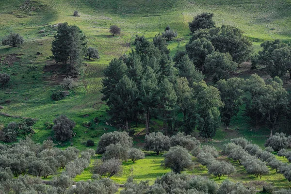 Welcome Northern Tunisia — Stock Photo, Image