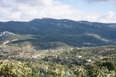Tunisia 'nın Djebel Bargou Dağı