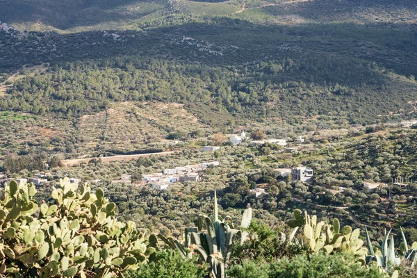 Djebel Bargou Montaña Tunisia — Foto de Stock