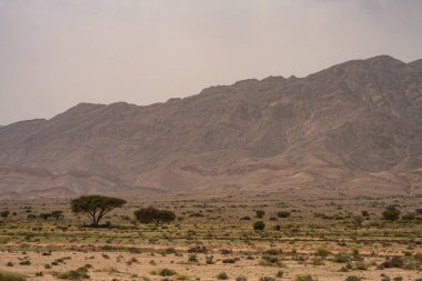 Tunisia 'daki ulusal buhedma parkı
