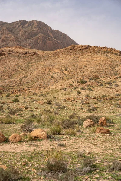 Tunisia Daki Bouhedma Ulusal Parkı — Stok fotoğraf