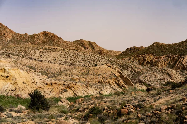 Nationaal Park Bouhedma Tunesië — Stockfoto