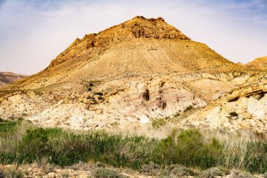 Tunisia 'daki bouhedma Ulusal Parkı