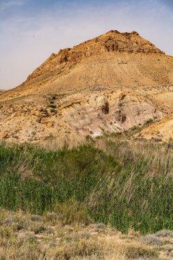 Tunisia 'daki bouhedma Ulusal Parkı