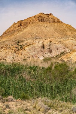 Tunisia 'daki bouhedma Ulusal Parkı
