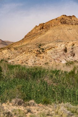 Tunisia 'daki bouhedma Ulusal Parkı