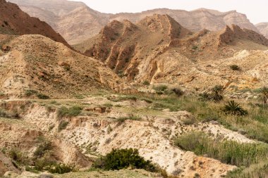 Buhar banyosu, tunisia milli parkı