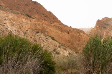 Buhar banyosu, tunisia milli parkı