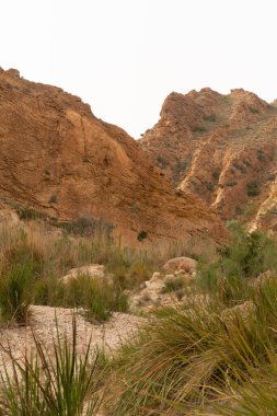 Buhar banyosu, tunisia milli parkı