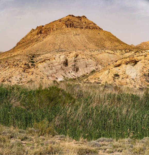 Bouhedma National Park Tunisia — Stock Photo, Image