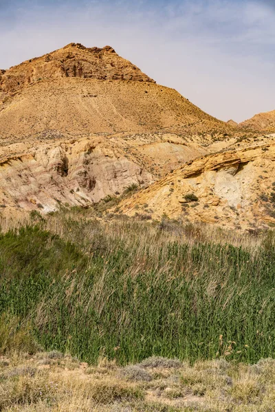 Bouhedma Nemzeti Park Tunéziában — Stock Fotó