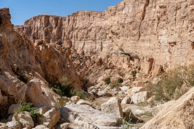 Güney Tunisia Sahara 'nın başlangıcı