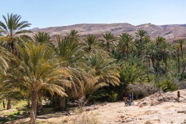 Güney Tunisia Sahara 'nın başlangıcı