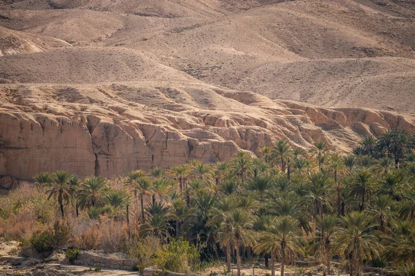 Güney Tunisia Sahara Nın Başlangıcı — Stok fotoğraf