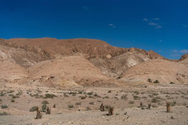 Güney Tunisia Sahara 'nın başlangıcı