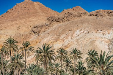 Güney Tunisia Sahara 'nın başlangıcı