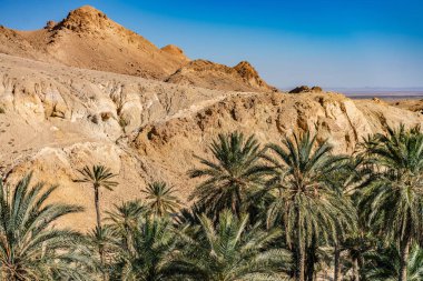 Güney Tunisia Sahara 'nın başlangıcı