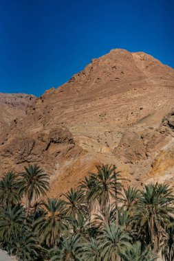 Güney Tunisia Sahara 'nın başlangıcı