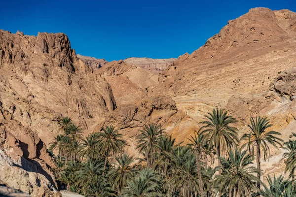 サハラ砂漠の南チュニジアの始まりは — ストック写真