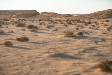 Güney Tunisia, sahara