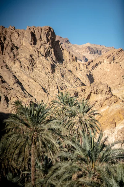 Sul Tunisia Saara — Fotografia de Stock