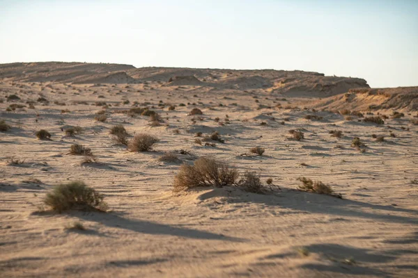 Güney Tunisia, sahara