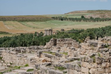 Northdern Tunisia 'ya hoş geldiniz.