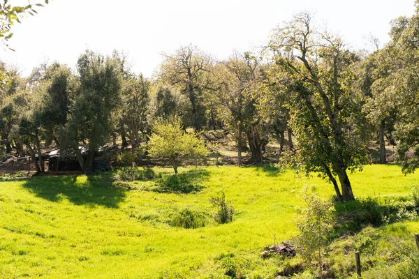 Καλώς Ήρθατε Στη Βόρεια Τουνισία — Φωτογραφία Αρχείου