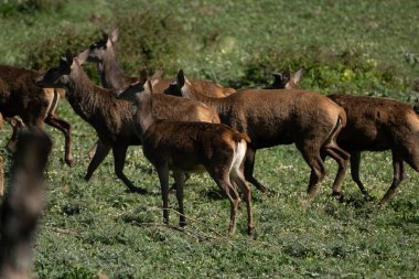 Kuzey Tunus 'a hoş geldiniz.