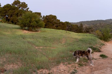 Kuzey Tunus 'a hoş geldiniz.