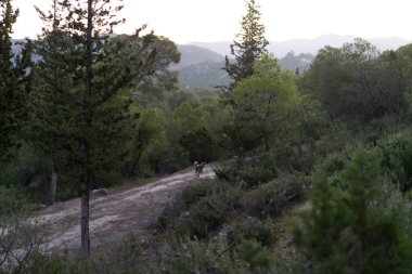 Kuzey Tunus 'a hoş geldiniz.