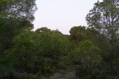 Kuzey Tunus 'a hoş geldiniz.