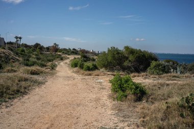 Sahel, manastır, tunisia