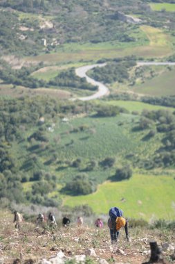 Kuzey Tunisia, oued debba