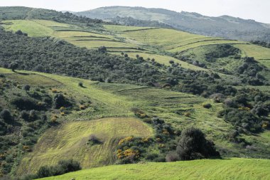 Kuzey Tunisia, oued debba