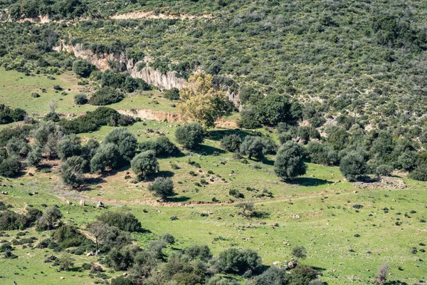 Northern Tunisia Oued Debba — Stock Photo, Image