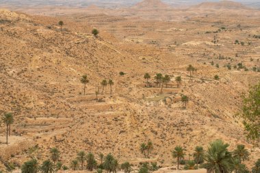 Güney Tunisia, Djebel dahar