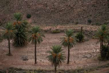 Güney Tunisia, Djebel dahar