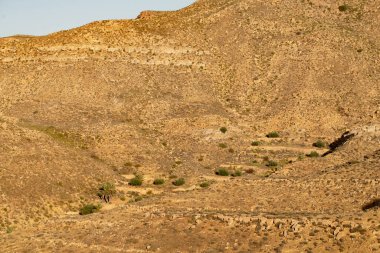 Güney Tunisia, Djebel dahar