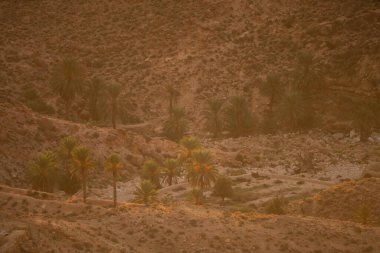 Güney Tunisia, djebel dahar