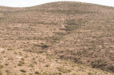Güney Tunisia, djebel dahar